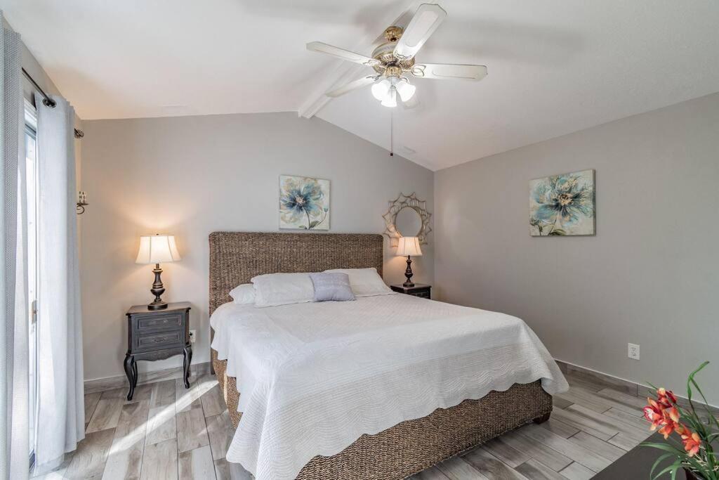 Town 'N' Country Cozy Corner, Your Florida Fun Hub Villa Tampa Exterior foto