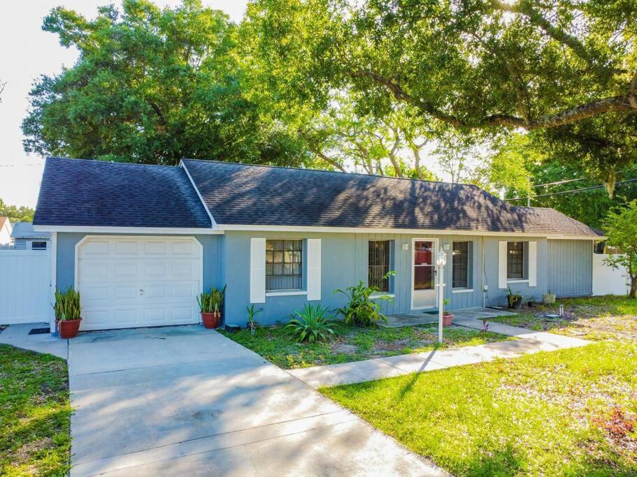 Town 'N' Country Cozy Corner, Your Florida Fun Hub Villa Tampa Exterior foto